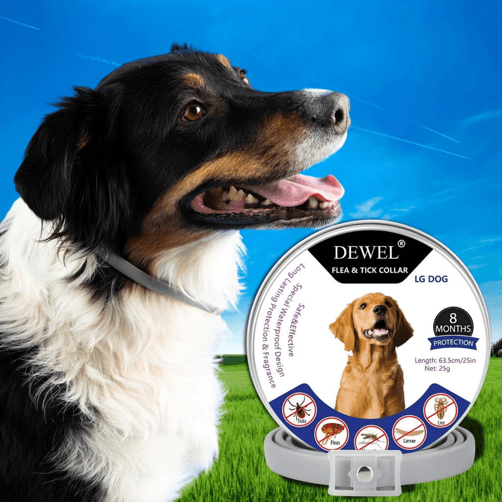 #1 — DEWEL Flea & Tick Collar for Dogs #1 — DEWEL Flea & Tick Collar for Dogs (8-Month Natural Protection)